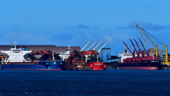 Levantamento aponta que houve crescimento no acumulado de 12 meses até março, mas deve haver retração de quase 1% no fim de 2025