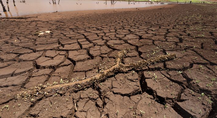 A falta de chuvas em setembro fez o plantio da soja atrasar, forçou o replantio em algumas áreas e vai mudar também a data da colheita