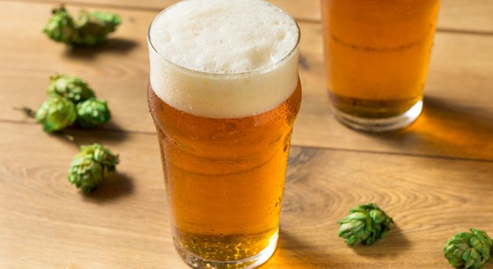Session IPA, Brut IPA e New England IPA são vertentes leves e inovadoras do estilo cervejeiro conhecido pelo intenso amargor