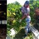 Imagem - Richarlison completa "vaquinha" e ajuda conterrânea de Nova Venécia em cirurgia