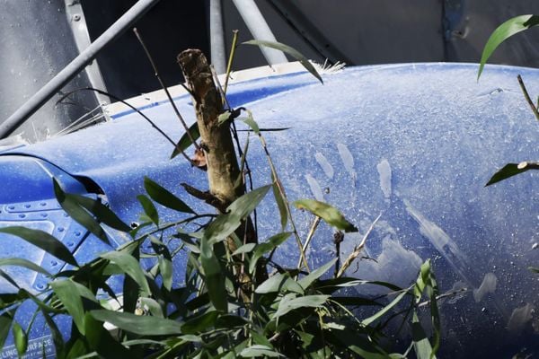 Fotos da fuselagem do helicóptero que caiu em Riviera da Barra, Vila Velha por Fernando Madeira