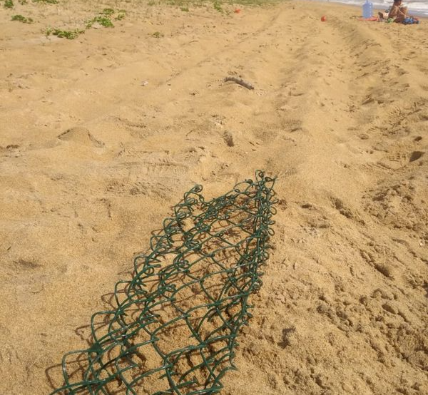 As marcas de pneu ficaram pela areia, confirmado que veículos passaram pelo local. Crédito: Leitor