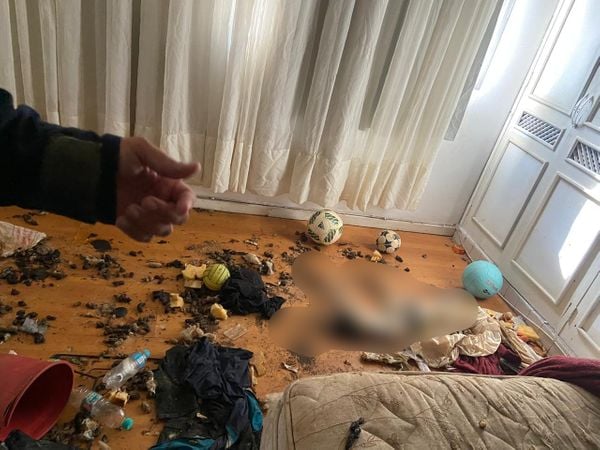 Imagens fortes mostram o interior do apartamento onde foram encontrados 11 animais mortos e quatro cachorros maltratados por Reprodução