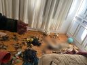 Imagens fortes mostram o interior do apartamento onde foram encontrados 11 animais mortos e quatro cachorros maltratados(Reprodução)