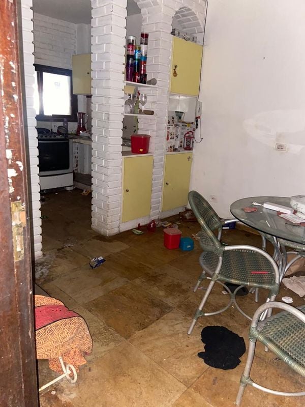 Imagens fortes mostram o interior do apartamento onde foram encontrados 11 animais mortos e quatro cachorros maltratados por Reprodução