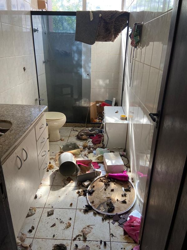 Imagens fortes mostram o interior do apartamento onde foram encontrados 11 animais mortos e quatro cachorros maltratados por Reprodução