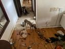 Imagens fortes mostram o interior do apartamento onde foram encontrados 11 animais mortos e quatro cachorros maltratados(Reprodução)