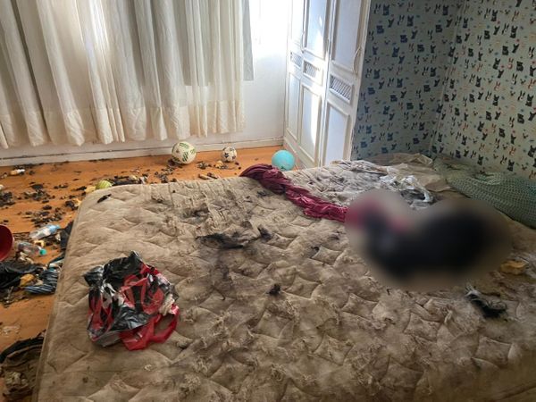 Imagens fortes mostram o interior do apartamento onde foram encontrados 11 animais mortos e quatro cachorros maltratados