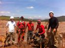 Cadela Bala em missão na lama em Minas Gerais(Divulgação)