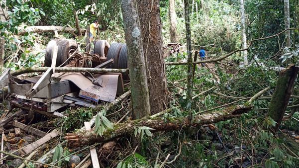 caminhão ficou destruído em meio às árvores