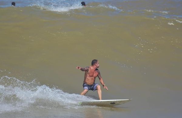 Surfe