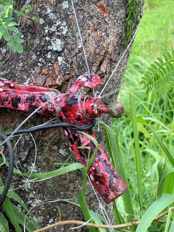 Arma estava pe por Reprodução