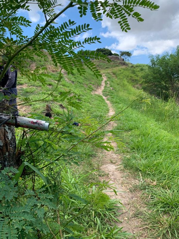 Esse era o local em que estava a armadilha acionada na manhã desta terça-feira (12) por Reprodução