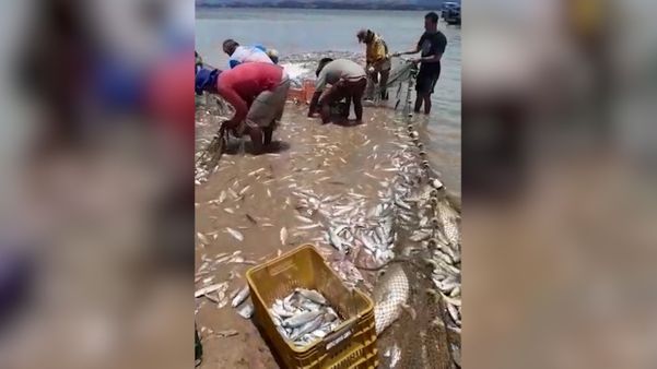 Pescador arrasta seis toneladas de peixes em Anchieta