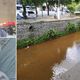 Imagem - Policial pula em rio para salvar idoso que estava se afogando no ES