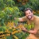 Cafeicultura em Afonso Cláudio na Região Serrana do Estado