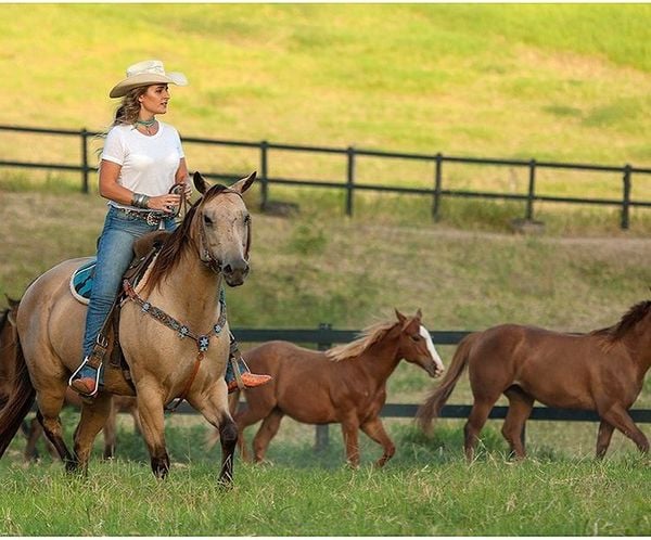 Aeileen Varejão, ex-mulheres ricas, montando a cavalo