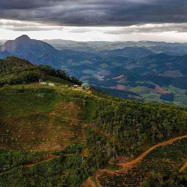 Cafeicultura em Afonso Cláudio na Região Serrana do Estado por Instagram/@pedrozoca