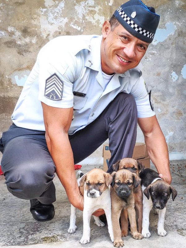 Os animais foram deixados em uma caixa e enquanto aguardam novos donos, são alimentados pelos policiais