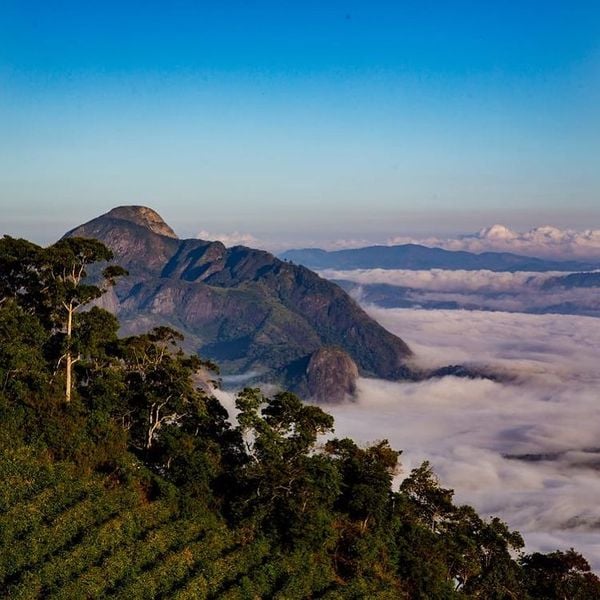 Cafeicultura em altitude em Afonso Cláudio, na Região Serrana do Estado por Instagram/@amorcafeoficial