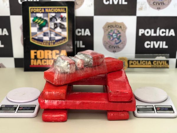 Foto dos 10 kg de maconha apreendidos pela Polícia Civil