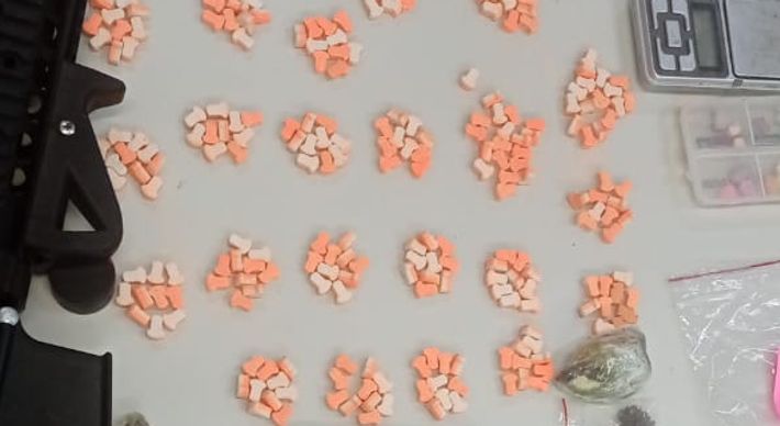 Suspeitos haviam formado um consórcio para aquisição do ectasy, de modo a adquirir um montante maior da droga, que chegou por correspondência do Rio de Janeiro