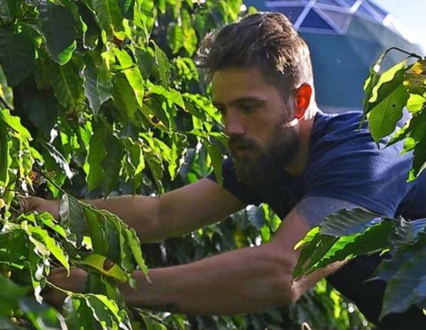 Cafeicultura em Afonso Cláudio na Região Serrana do Estado. Ator Rafael Cardoso no Sítio Condurú