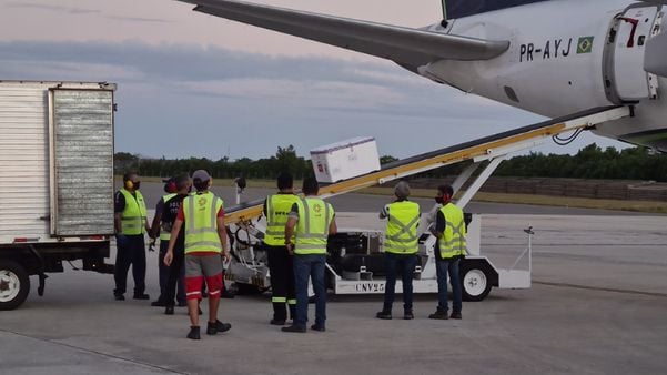 As doses da vacina Coronavac chegaram ao Aeroporto Eurico de Aguiar Salle, em Vitória, às 18h20 desta segunda-feira (18)