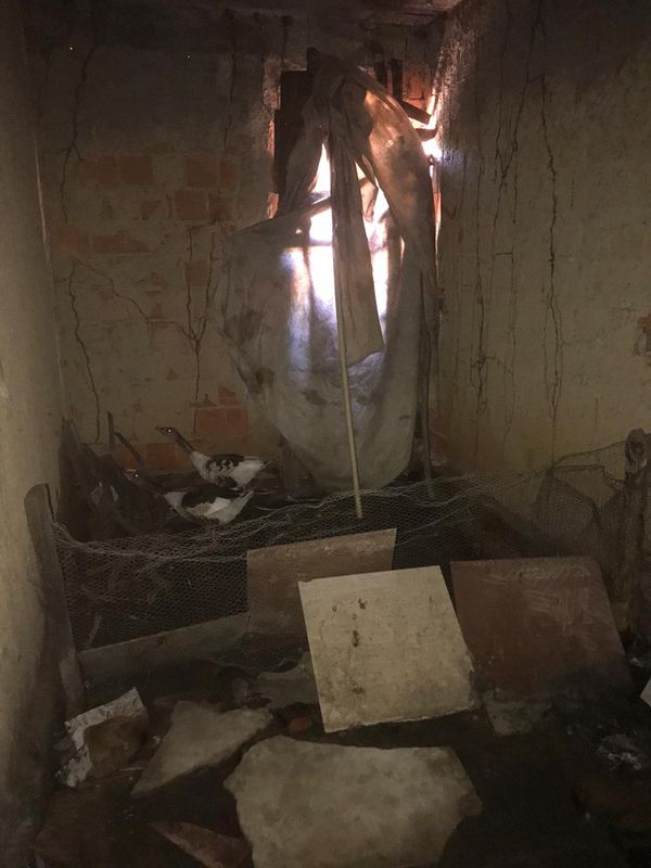 Muita sujeira foi encontrada dentro ca c