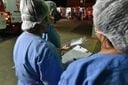 Imagens da chegada dos pacientes de Manaus infectados pelo coronavírus ao Hospital Jayme dos Santos Neves, na Serra(Fernando Madeira)