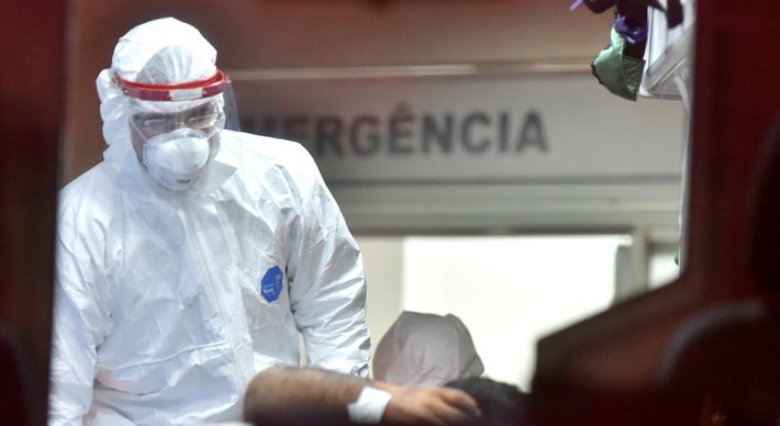 Mudanças na estrutura viral são comuns, mas variantes encontradas no Estado são mais transmissíveis e possuem maior potencial de infecção