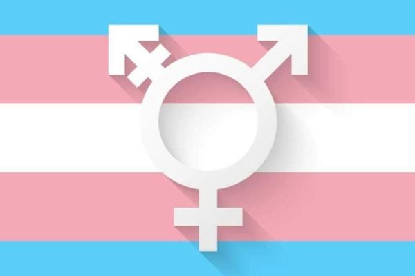 Bandeira do Orgulho Transgênero: Pandemia adia a realização do procedimento de transgenitalização