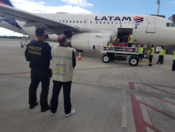 O avião começa a ser descarregado por Polícia Federal