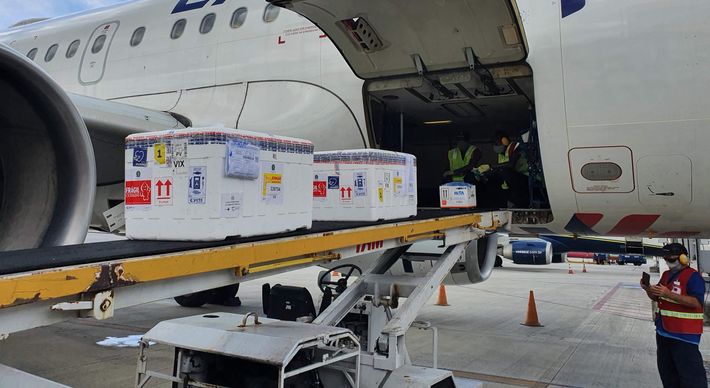 35.500 doses da vacina foram transportadas de avião em um voo que saiu às 8h35 deste domingo (24) do Aeroporto Santos Dumont, no Rio de Janeiro