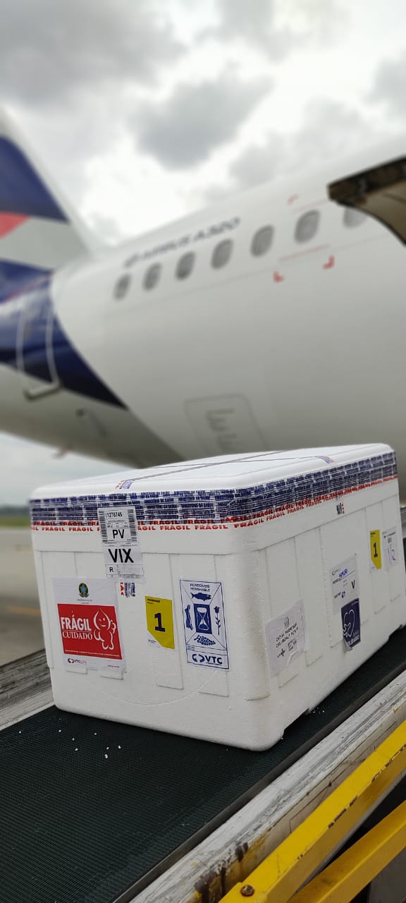 Vacinas Coronavac são enviadas por avião para o Espírito Santo