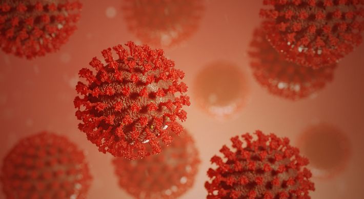 Segundo a Universidade Johns Hopkins, desde o início da pandemia, o país totaliza 21.077.410 contaminações e 230.168 vidas perdidas pela doença