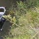 Imagem - Carro cai de ponte e vai parar dentro de córrego no interior de Linhares