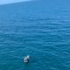 Imagem - Barco de pesca que estava à deriva desde sábado é resgatado no ES