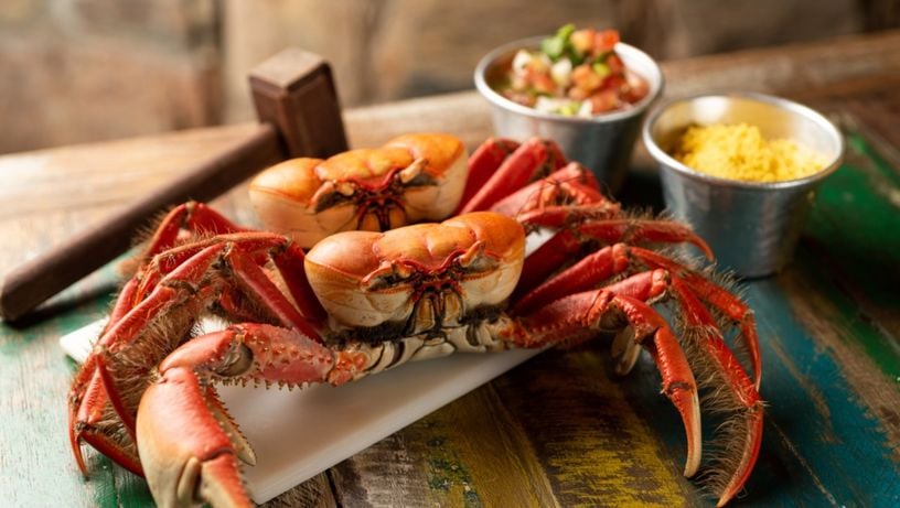 Cachorro pode comer caranguejo Clearance