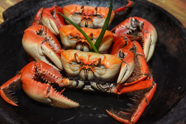 O restaurante Cia do Caranguejo é especializado em frutos do mar por Cia do Caranguejo/Divulgação                         