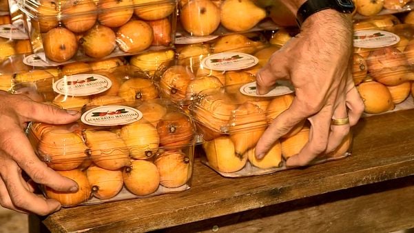 Achachairu: produtores capixabas apostam no cultivo de fruta exótica