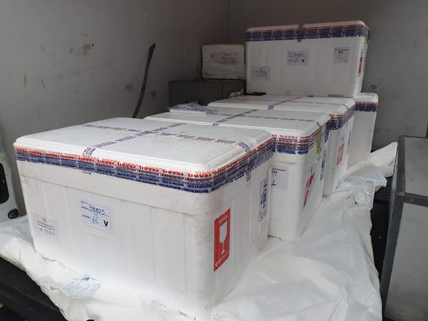 Novo carregamento de 54.4 mil doses da vacina Coronavac/Butantan que chegaram domingo (7) pela manhã no Aeroporto de Vitória. por Hélio Filho / Secom