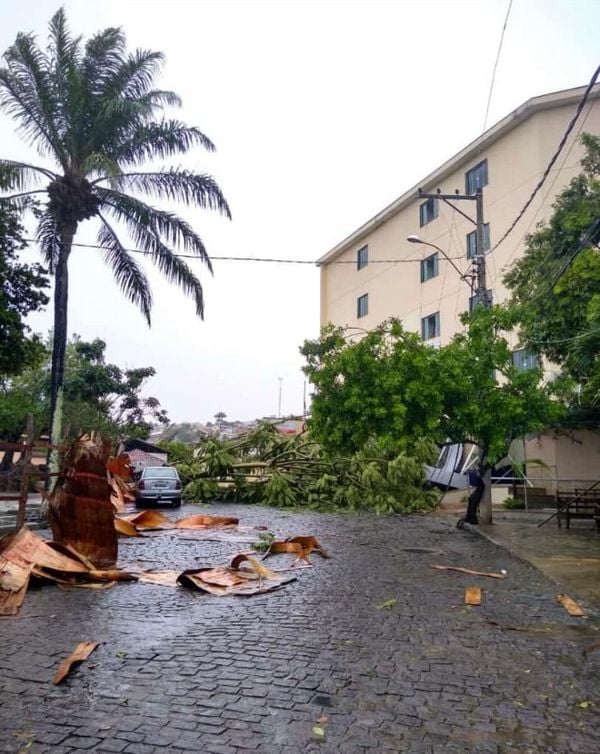 Chuva derruba árvores e postes em Nova Venécia por Foto internauta
