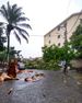 Chuva derruba árvores e postes em Nova Venécia(Foto internauta)