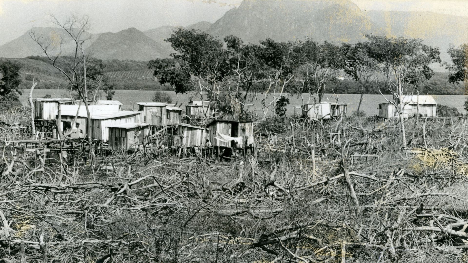 Desmatamento do mangue no bairro São Pedro. Imagem de 1989