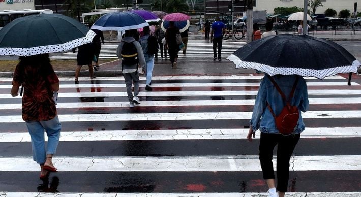 O instituto prevê, entre hoje (23) e amanhã (24), chuva entre 20 e 30 milímetros por hora ou até 50 milímetros por dia, com ventos intensos de 40 a 60 quilômetros por hora