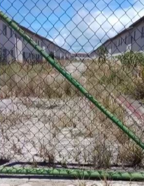 Mato tomou conta do Residencial Barra do Riacho, em Aracruz. Crédito: Reprodução de vídeo/Internauta