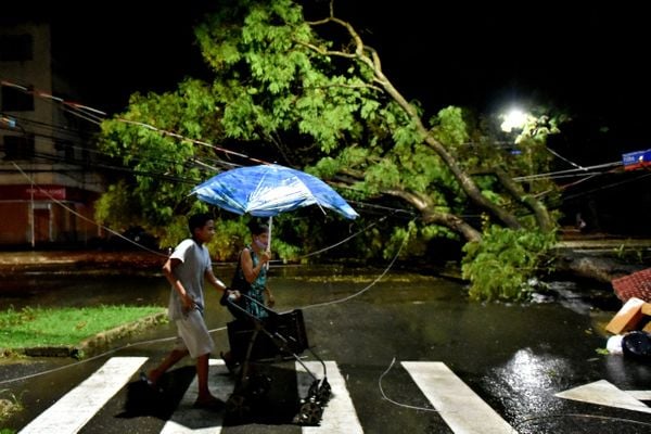 Árvore caiu na Avenida Rio Branco, em Vitória, e atingiu fios da rede elétrica