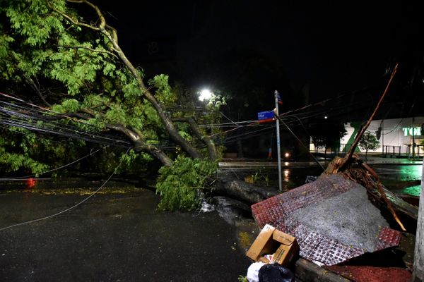 Árvore caiu na Avenida Rio Branco, em Vitória, e atingiu fios da ree por Fernando Madeira