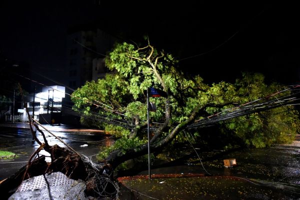 Árvore caiu na Avenida Rio Branco, em Vitória, e atingiu fios da ree por Fernando Madeira